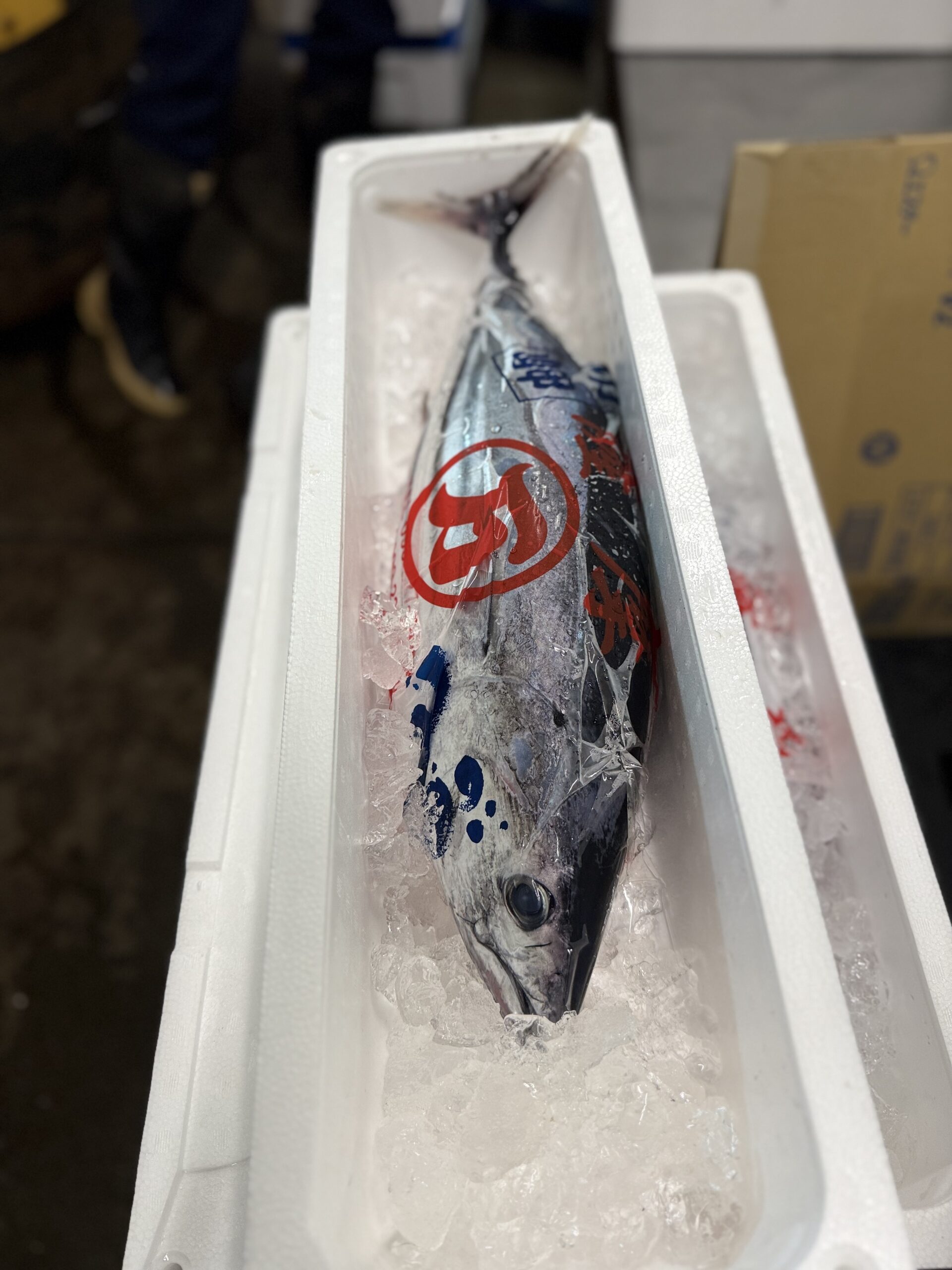 Katsuo
