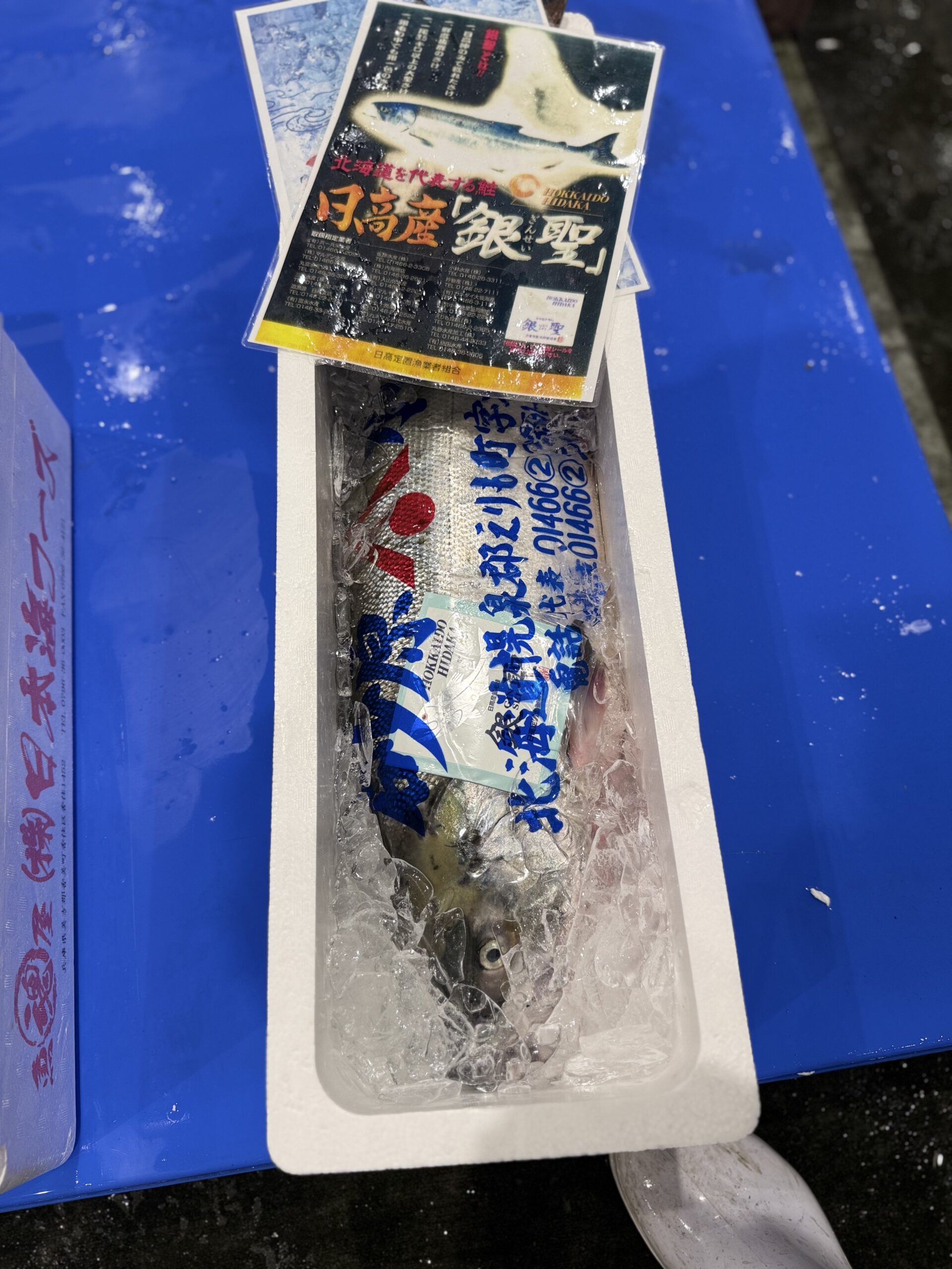 Akizake (Male)