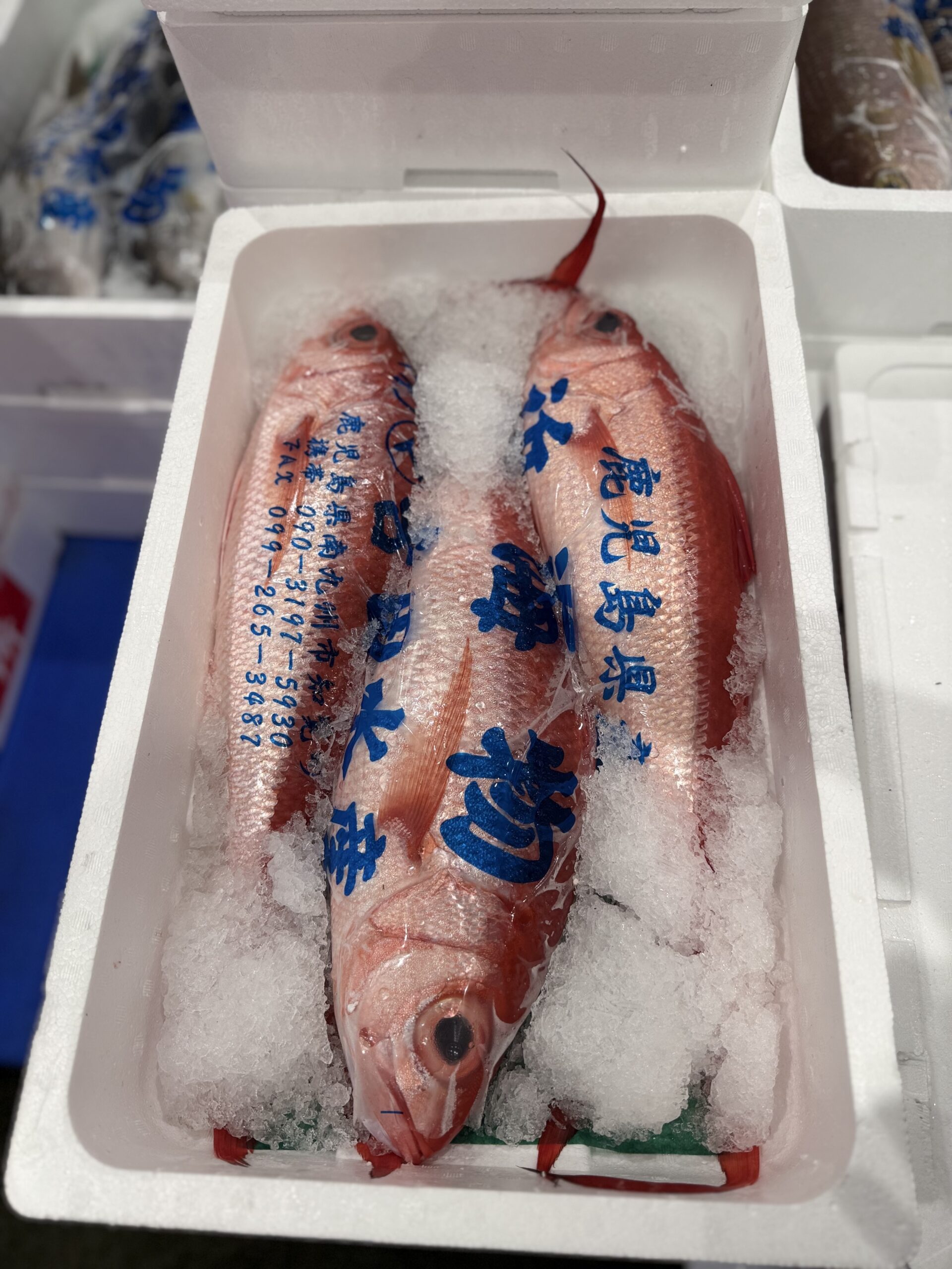 Hamadai