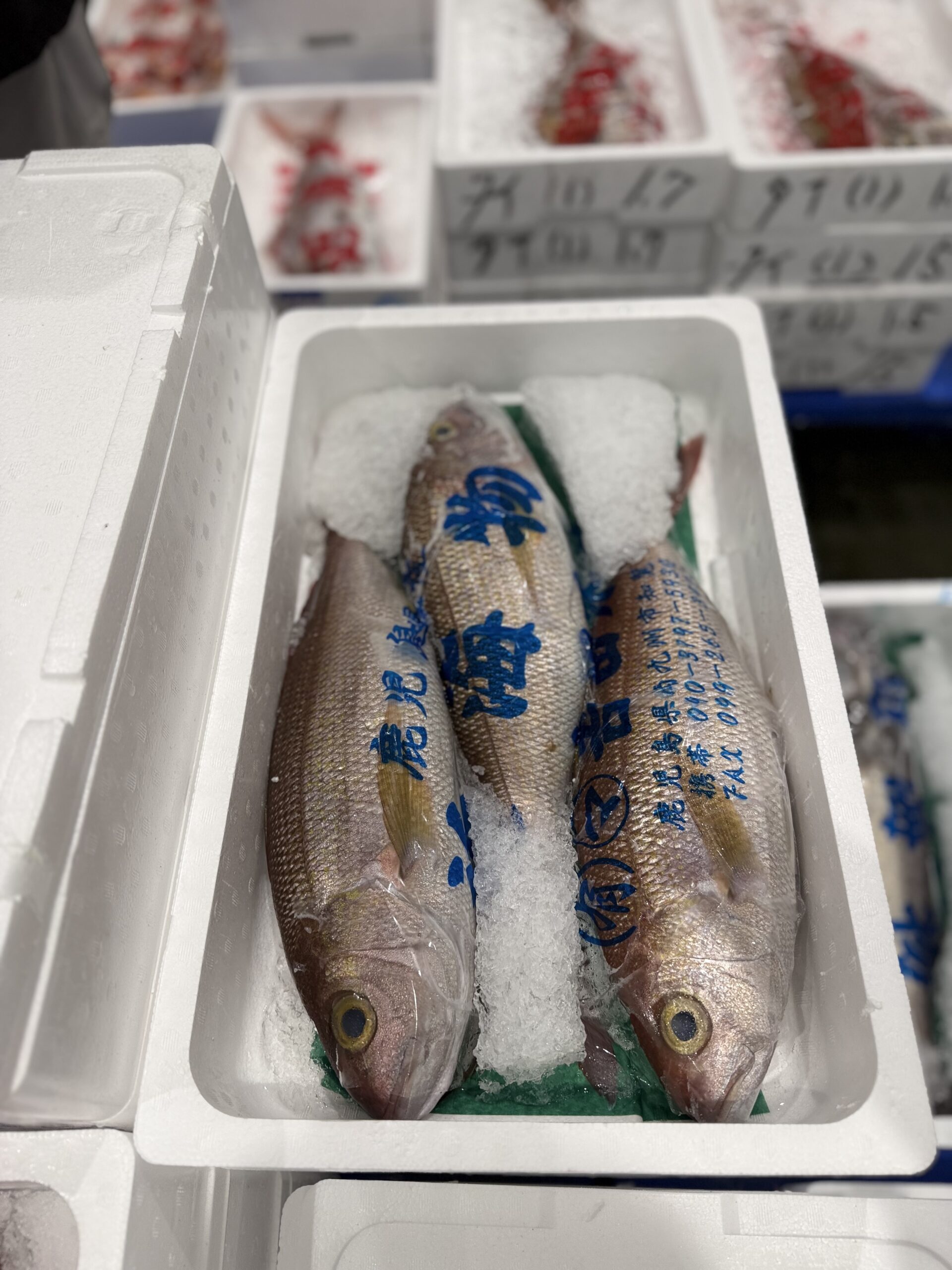 Himedai
