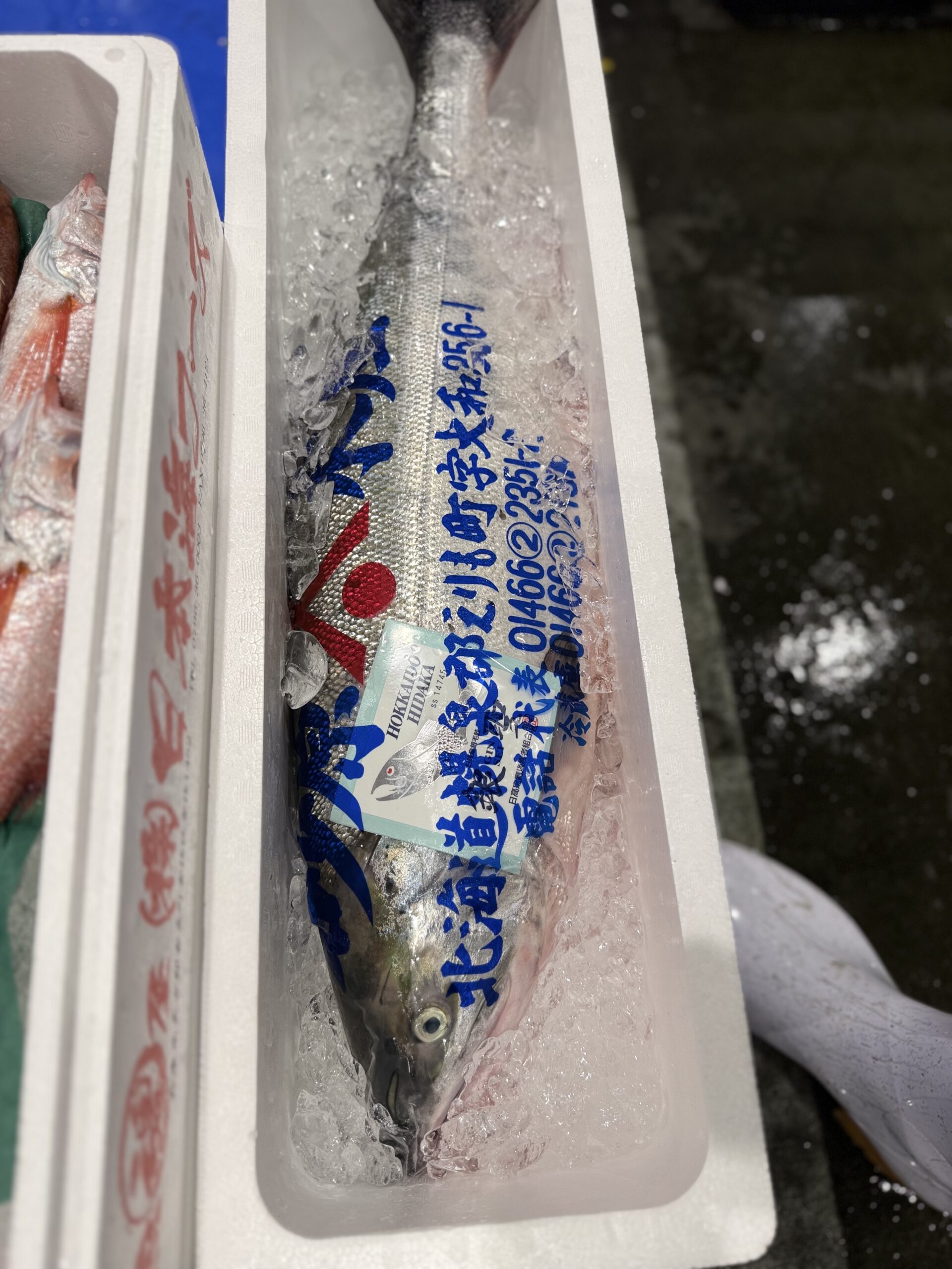 Akizake