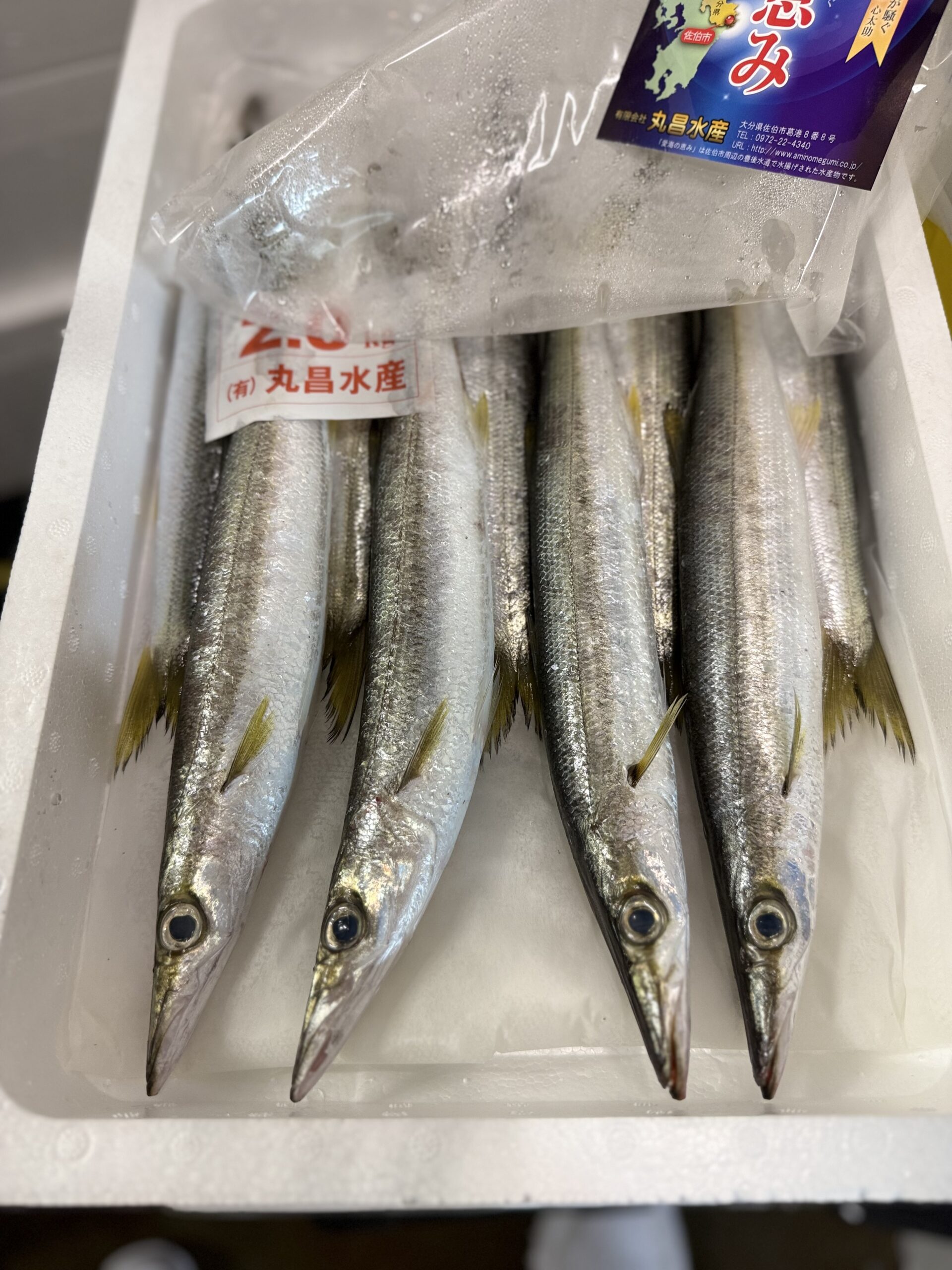 Kamasu
