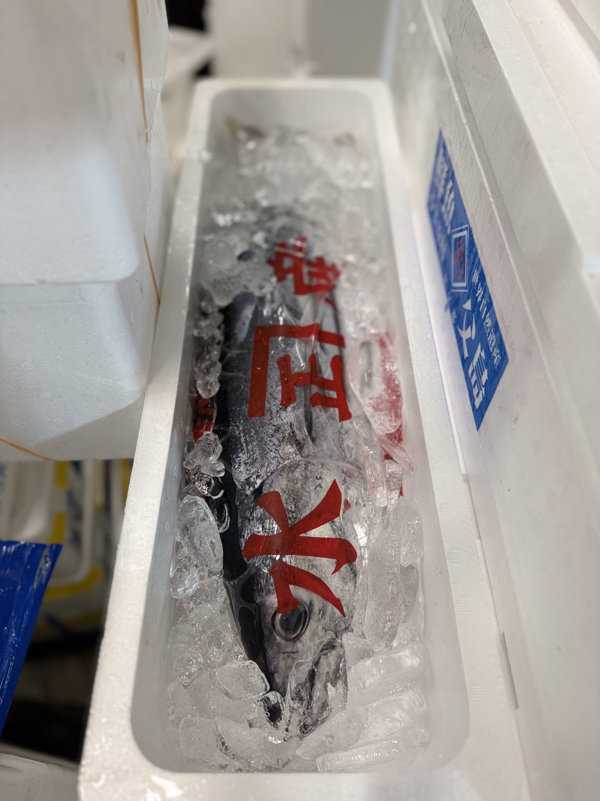 Katsuo