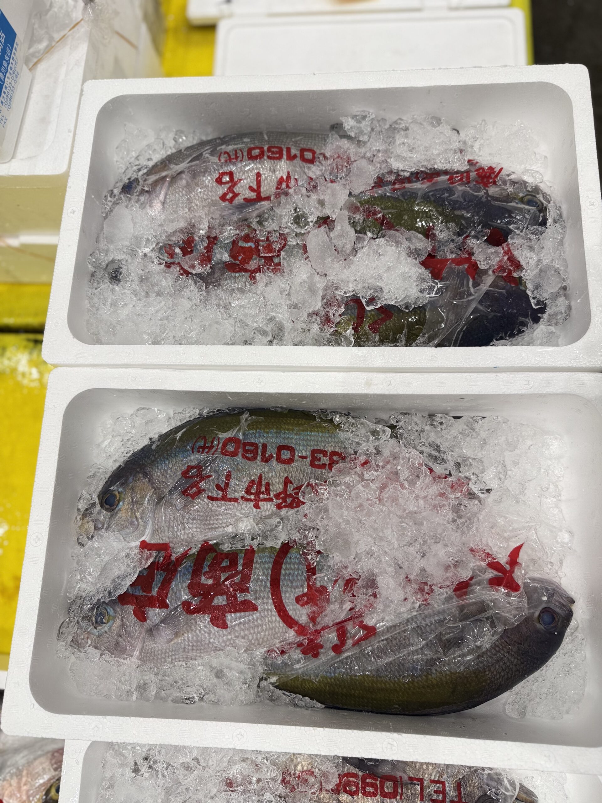 Umeiro