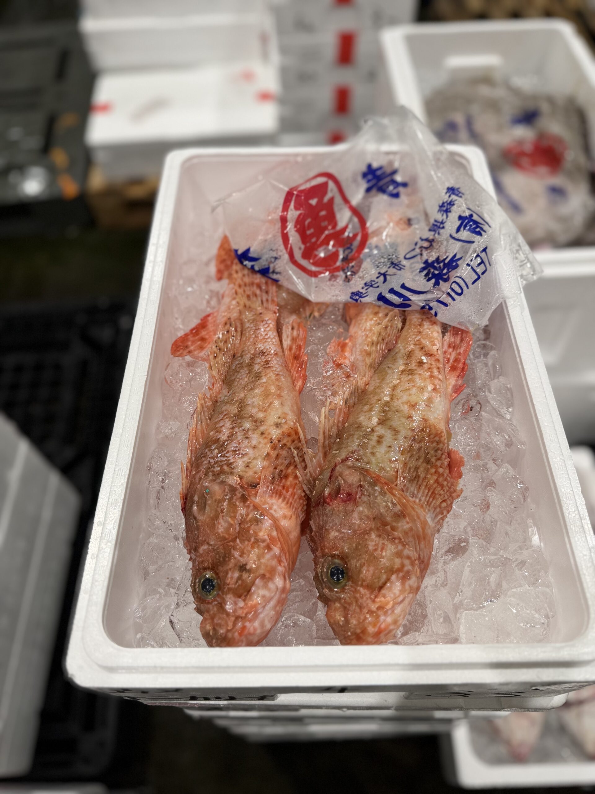 Izakasago