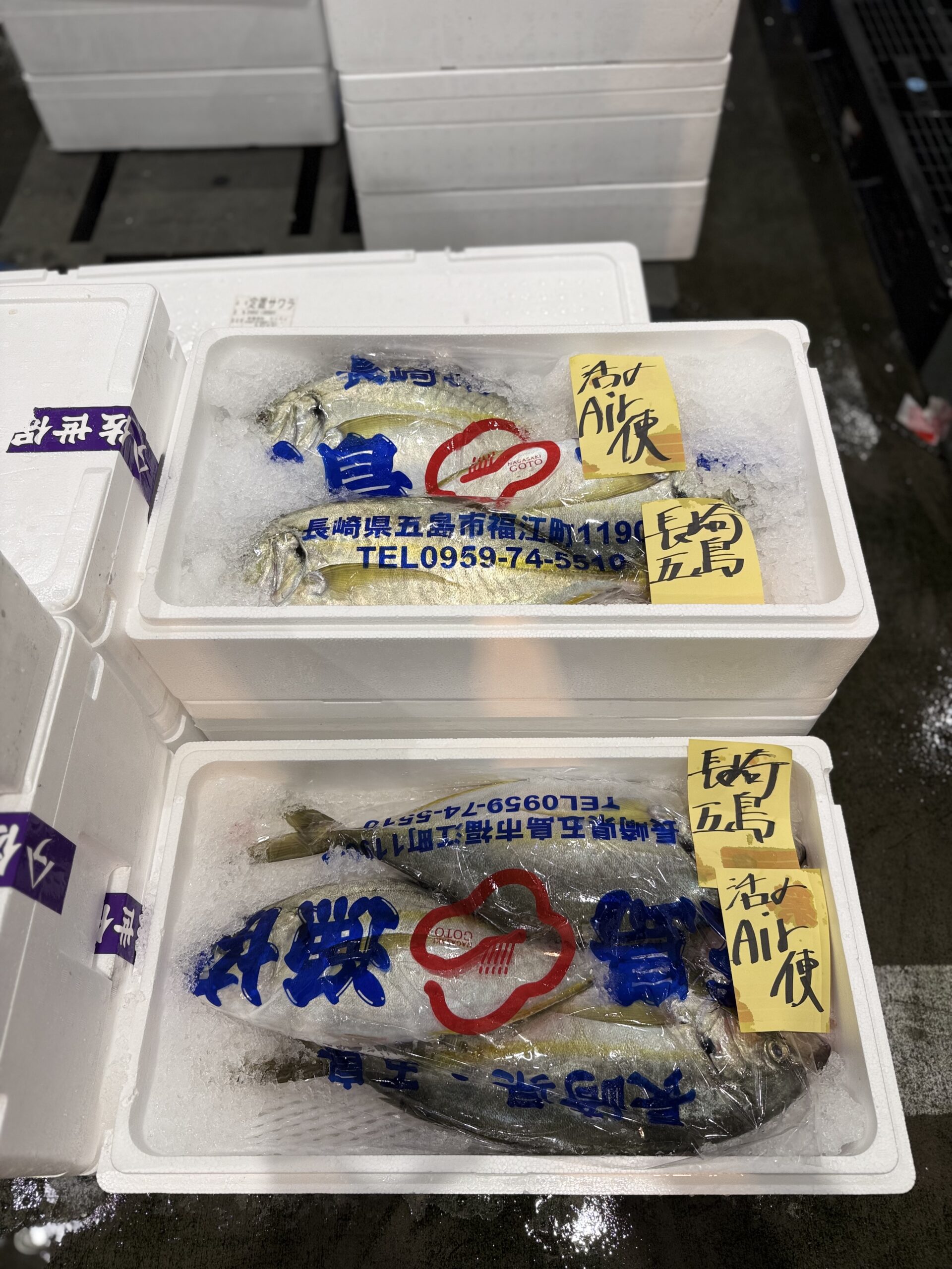 Shima-aji