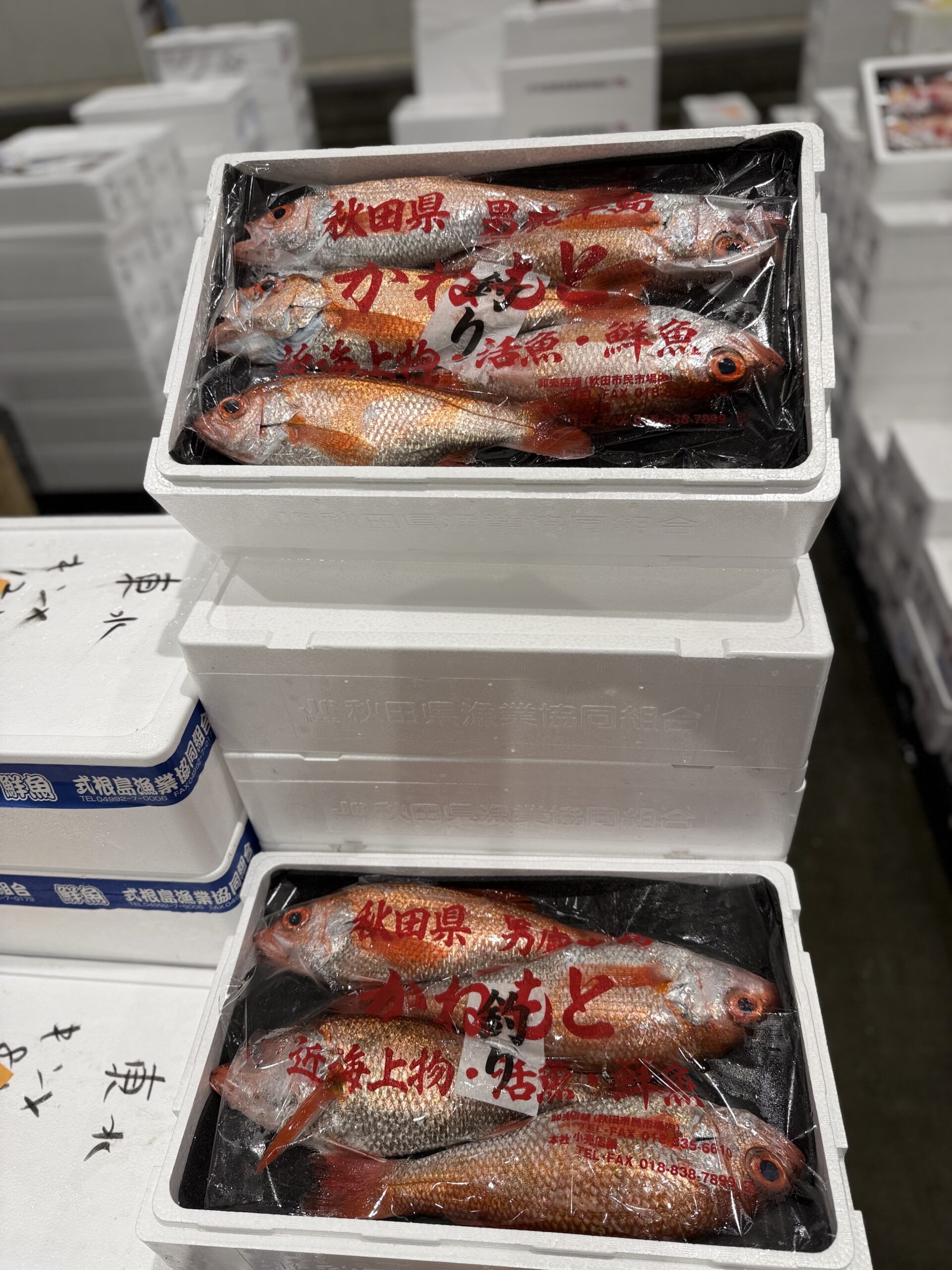 Akamutsu