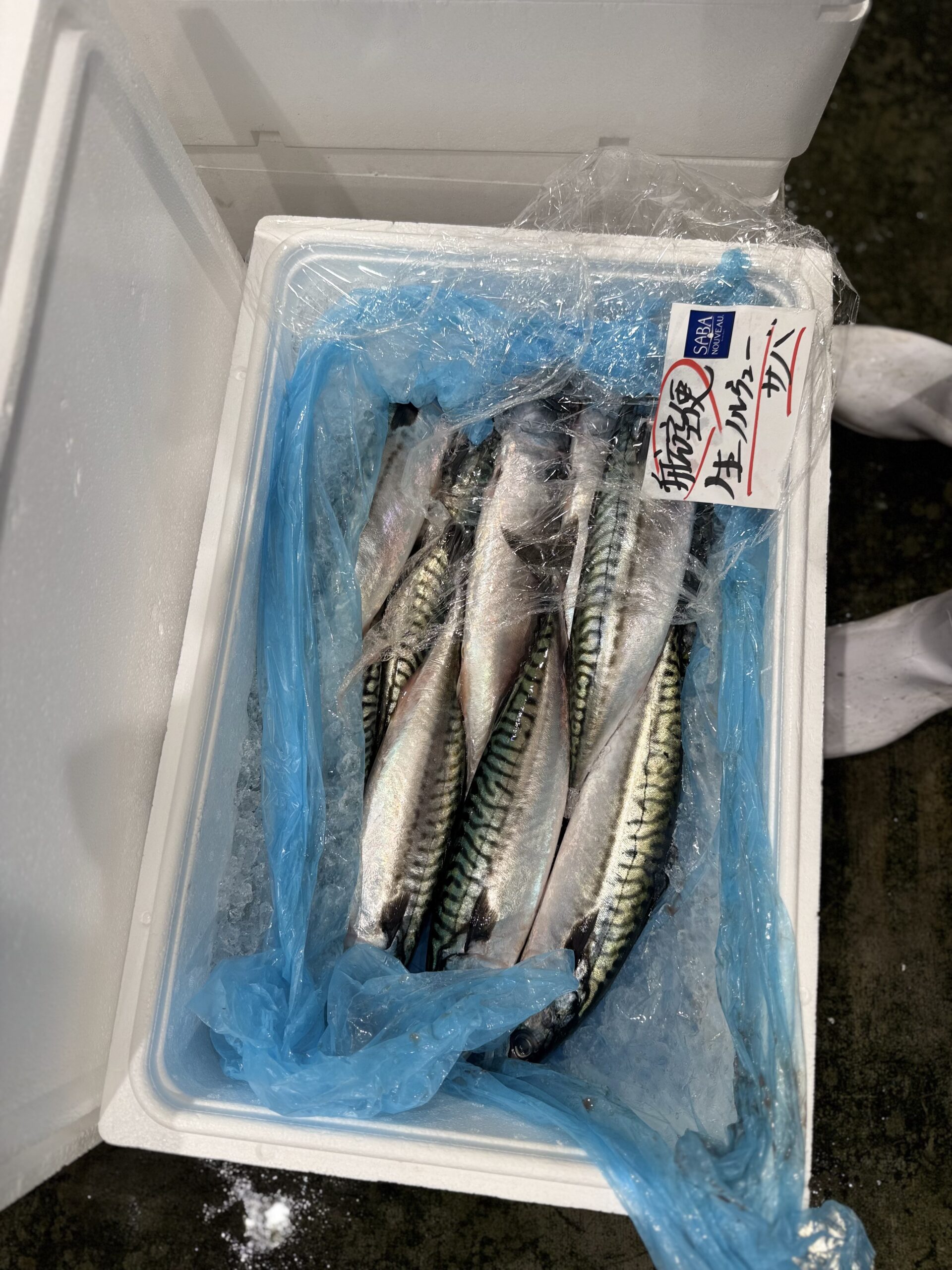 Saba(Atlantic)