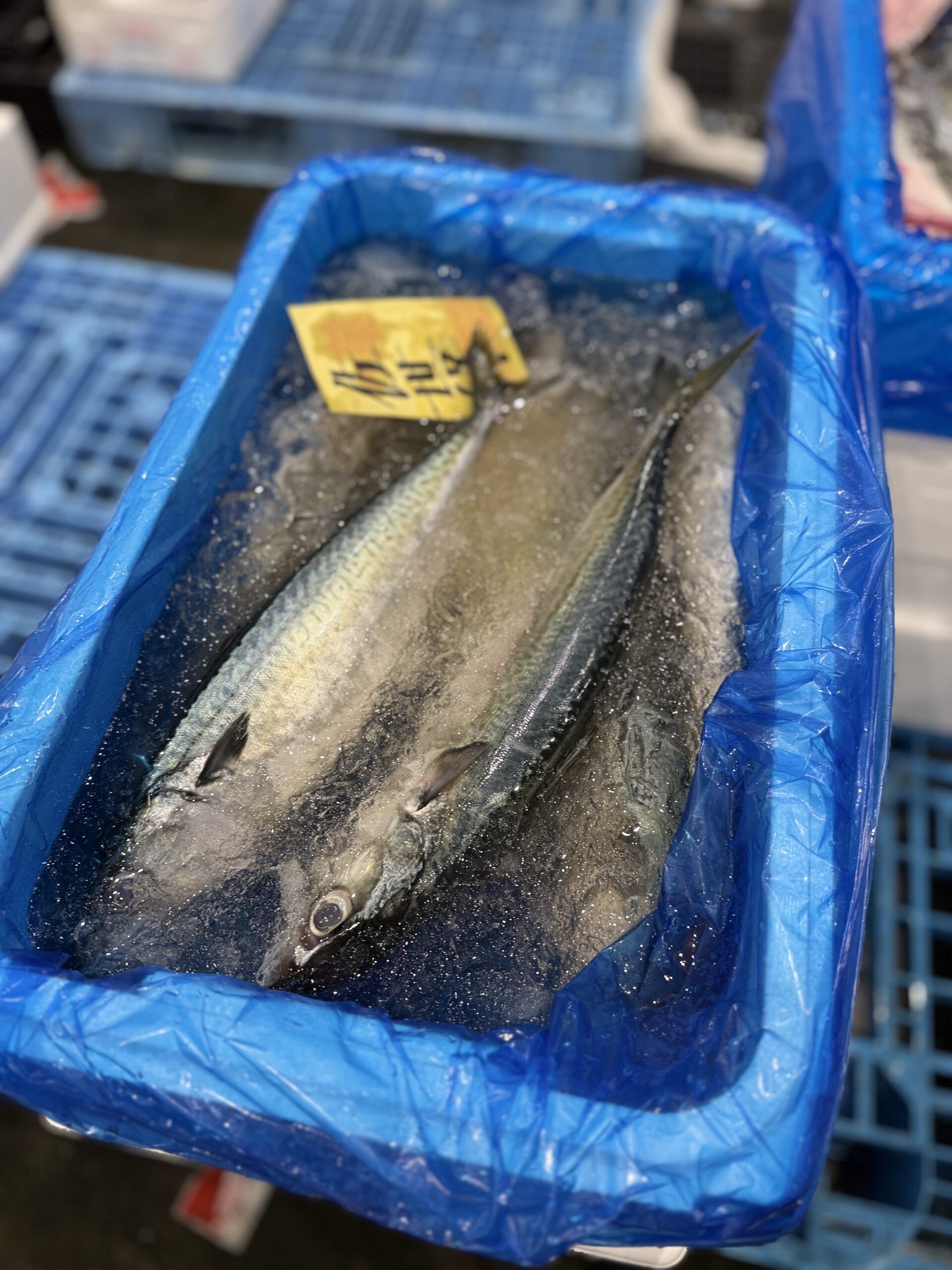 Saba