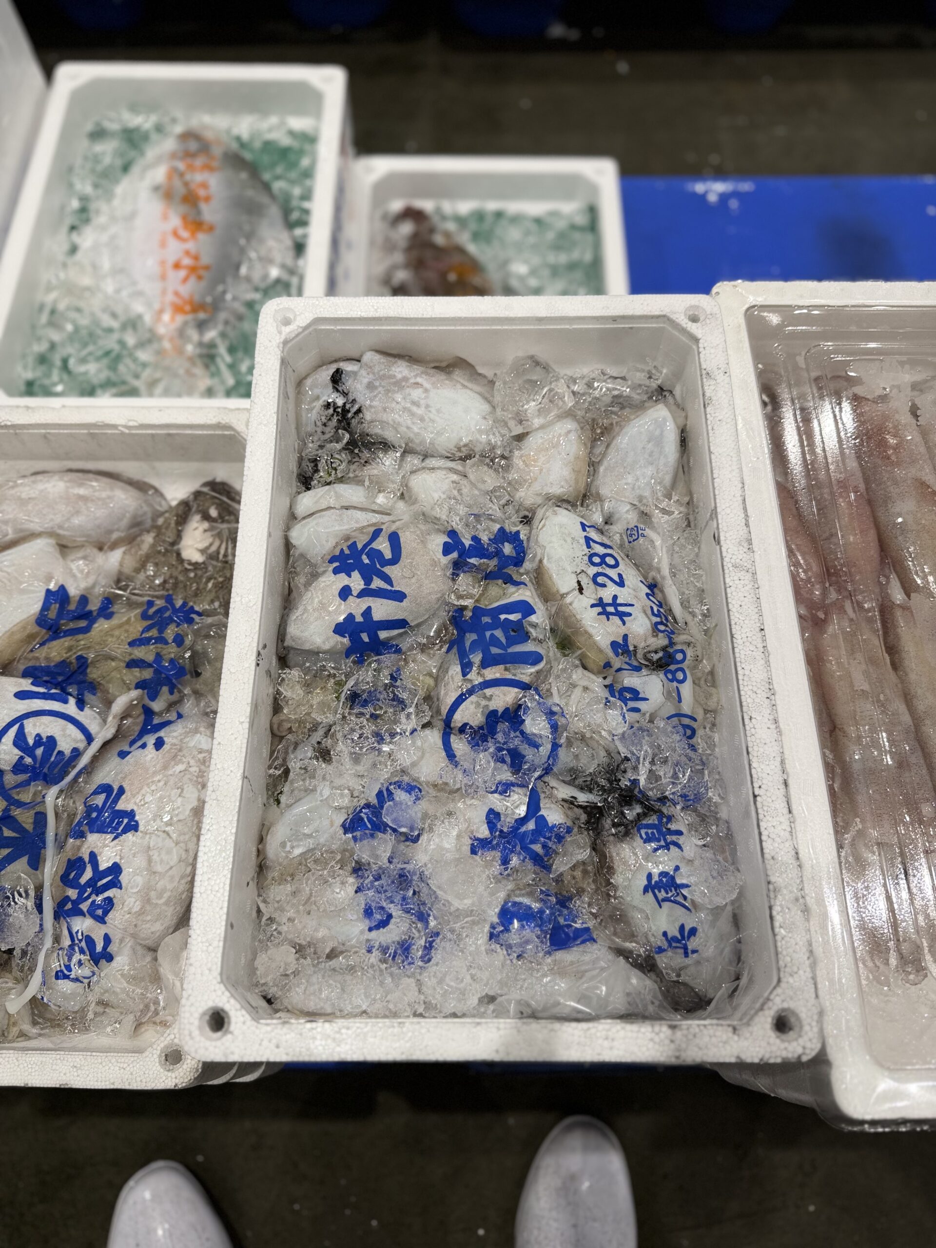 Sumi Ika