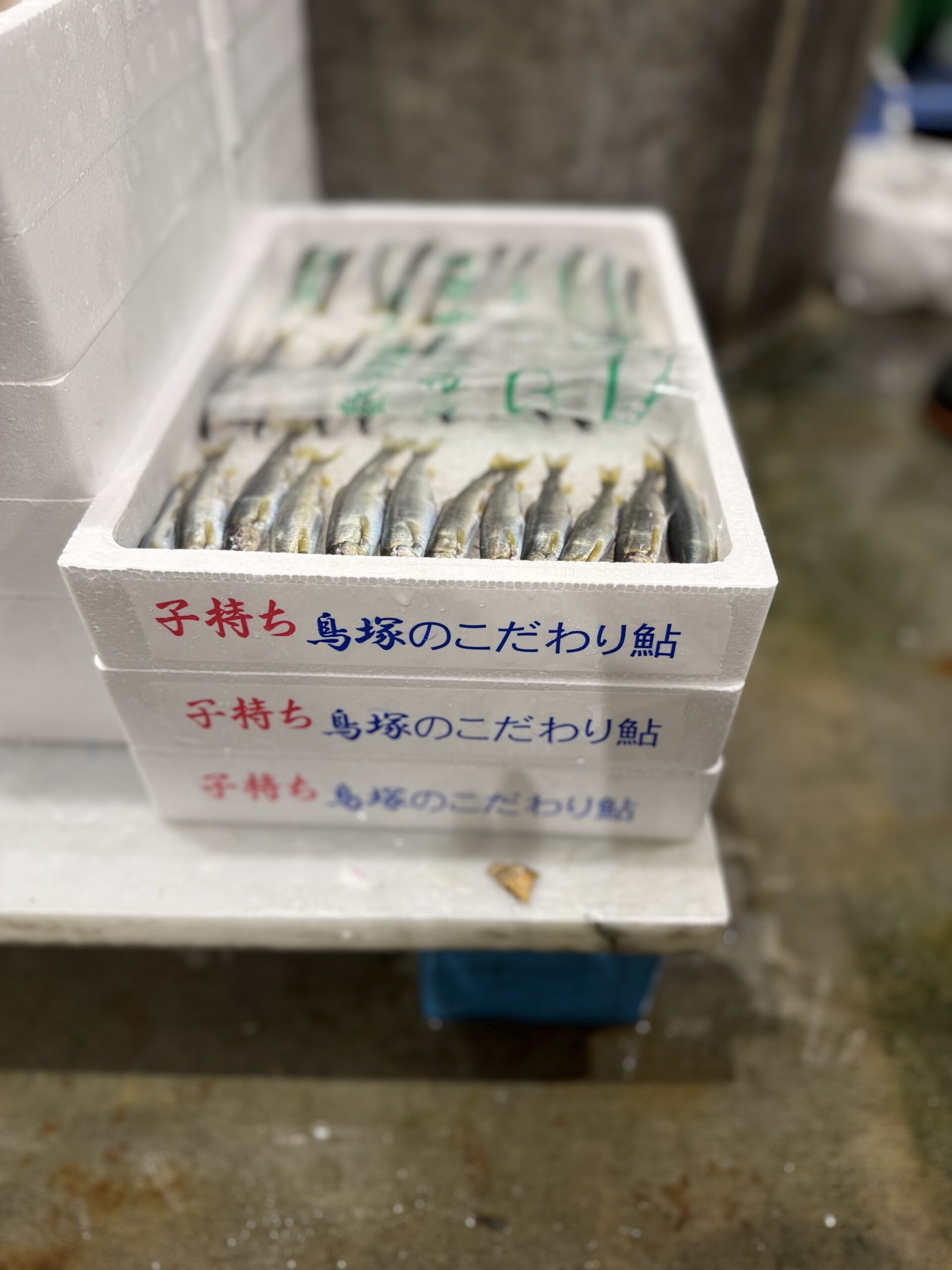 Komochi Ayu
