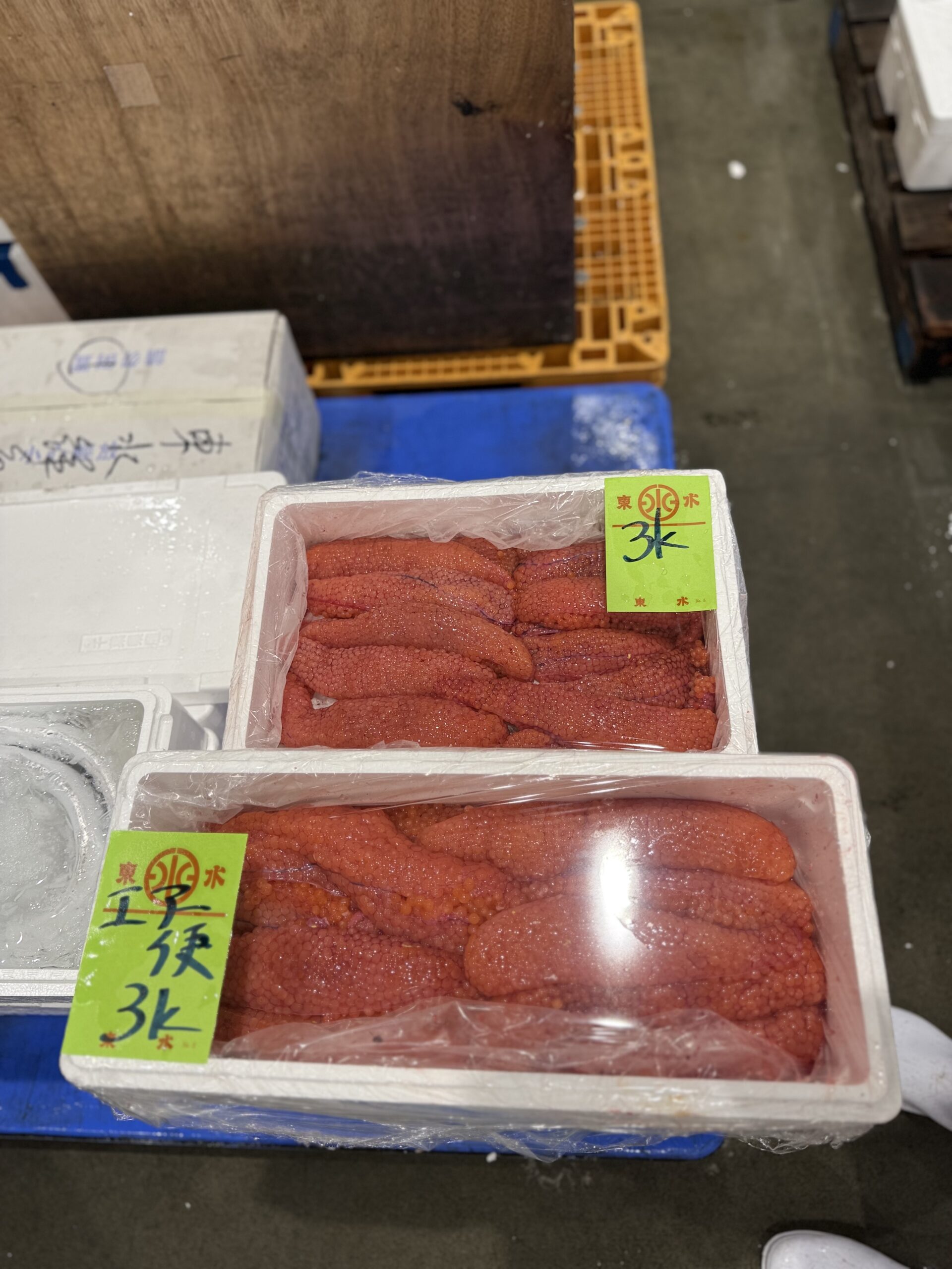 Fresh Sujiko