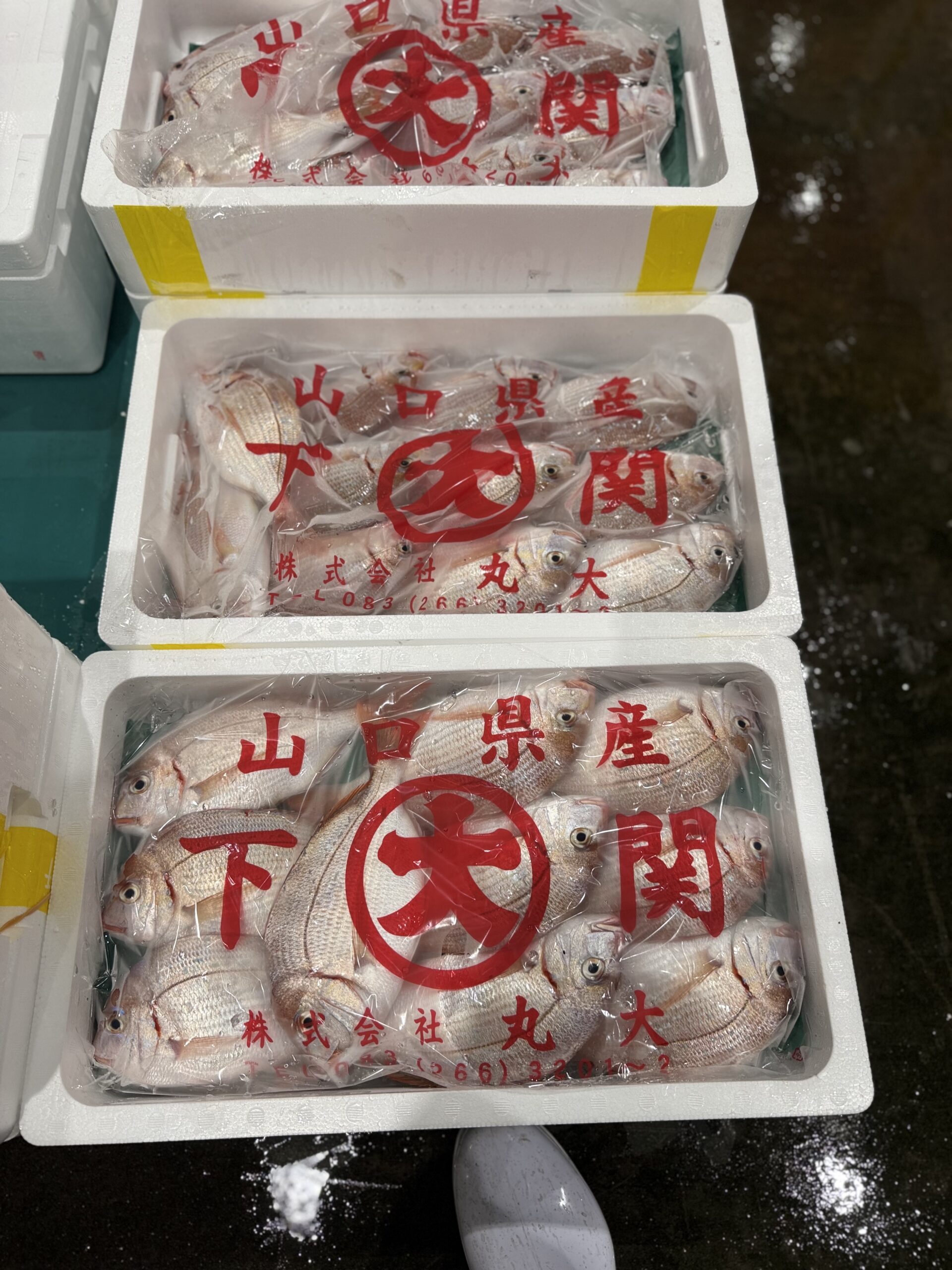 Chidai(Chikodai)