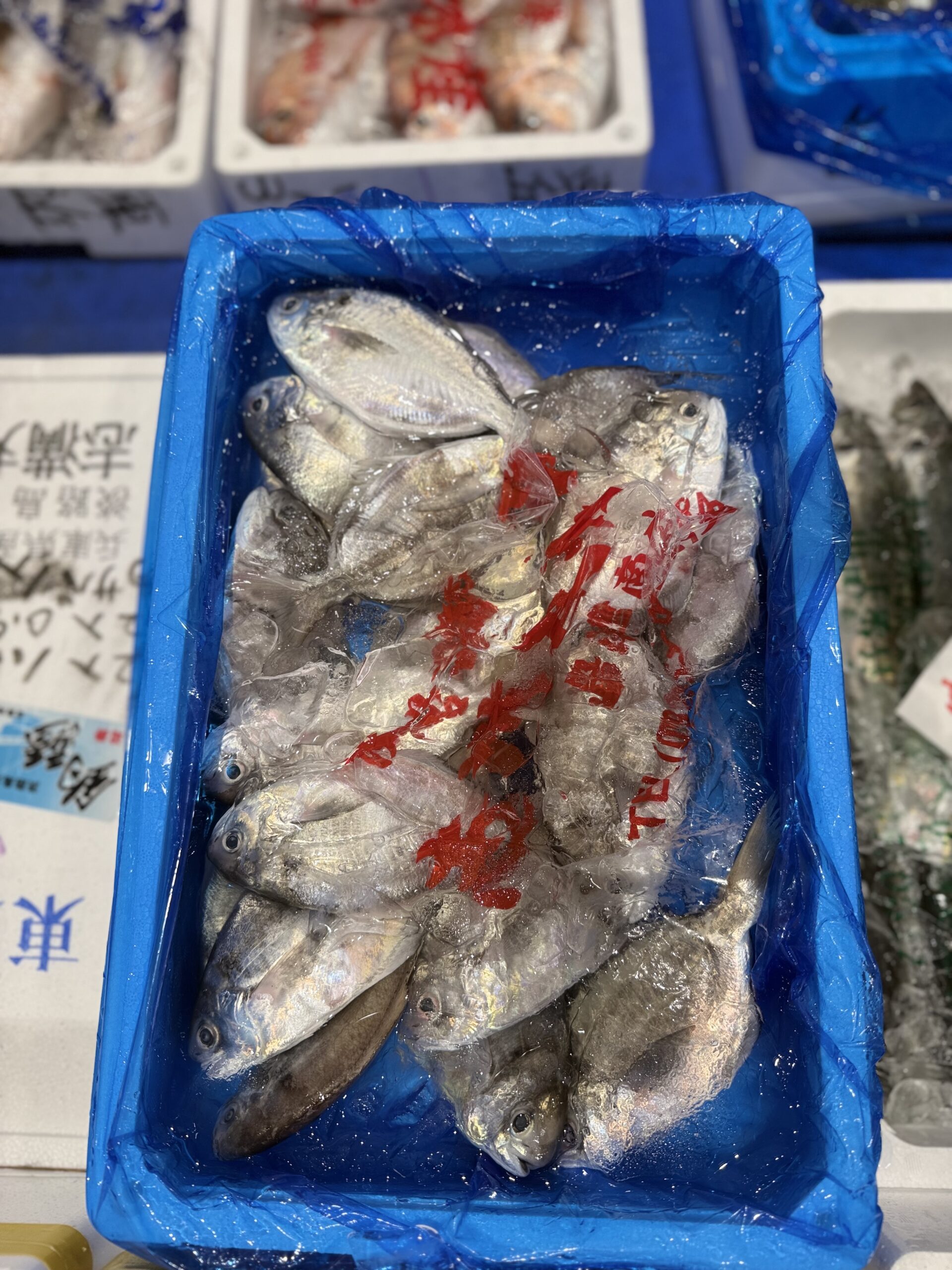 Ebodai