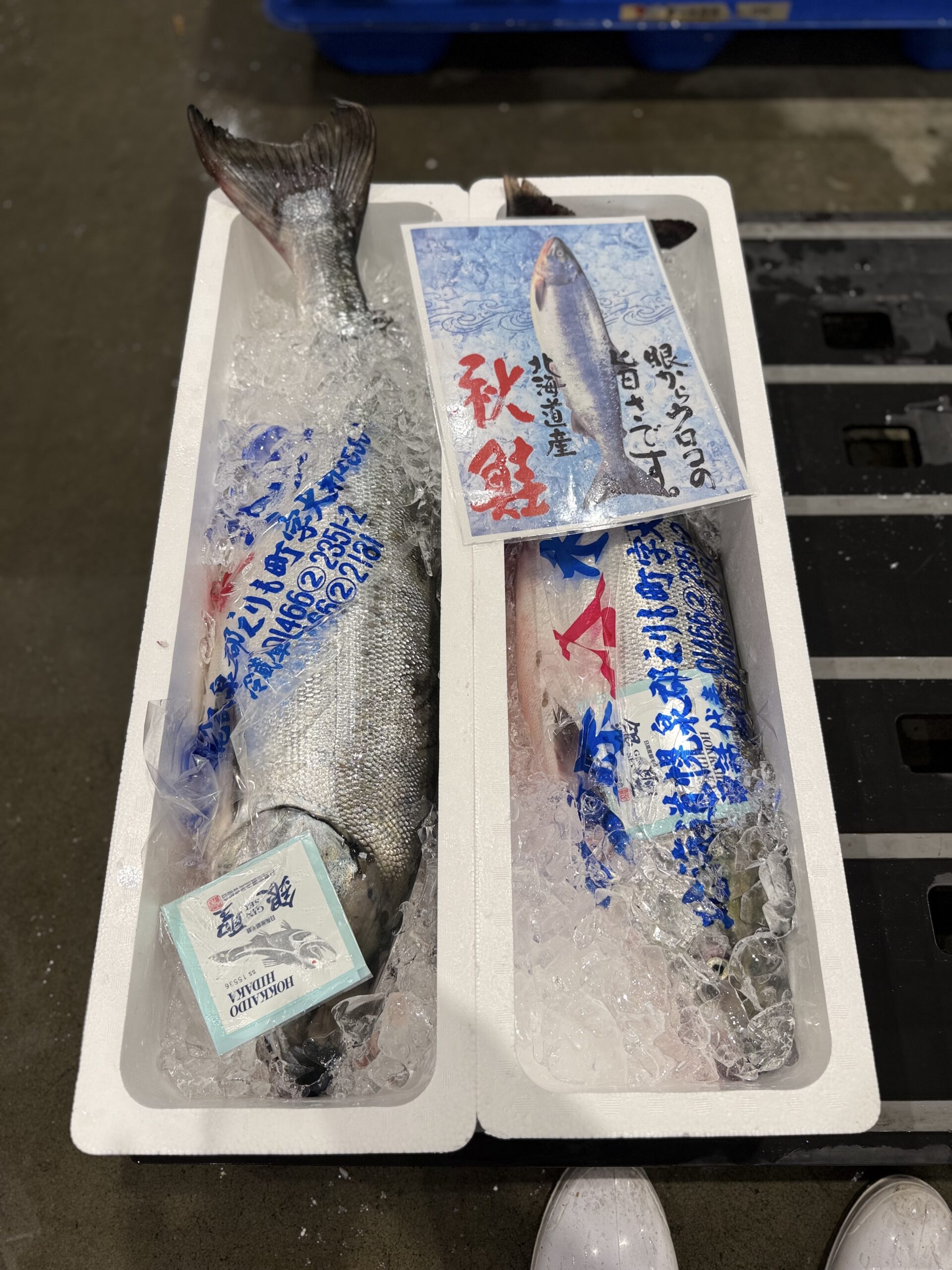 Akisake