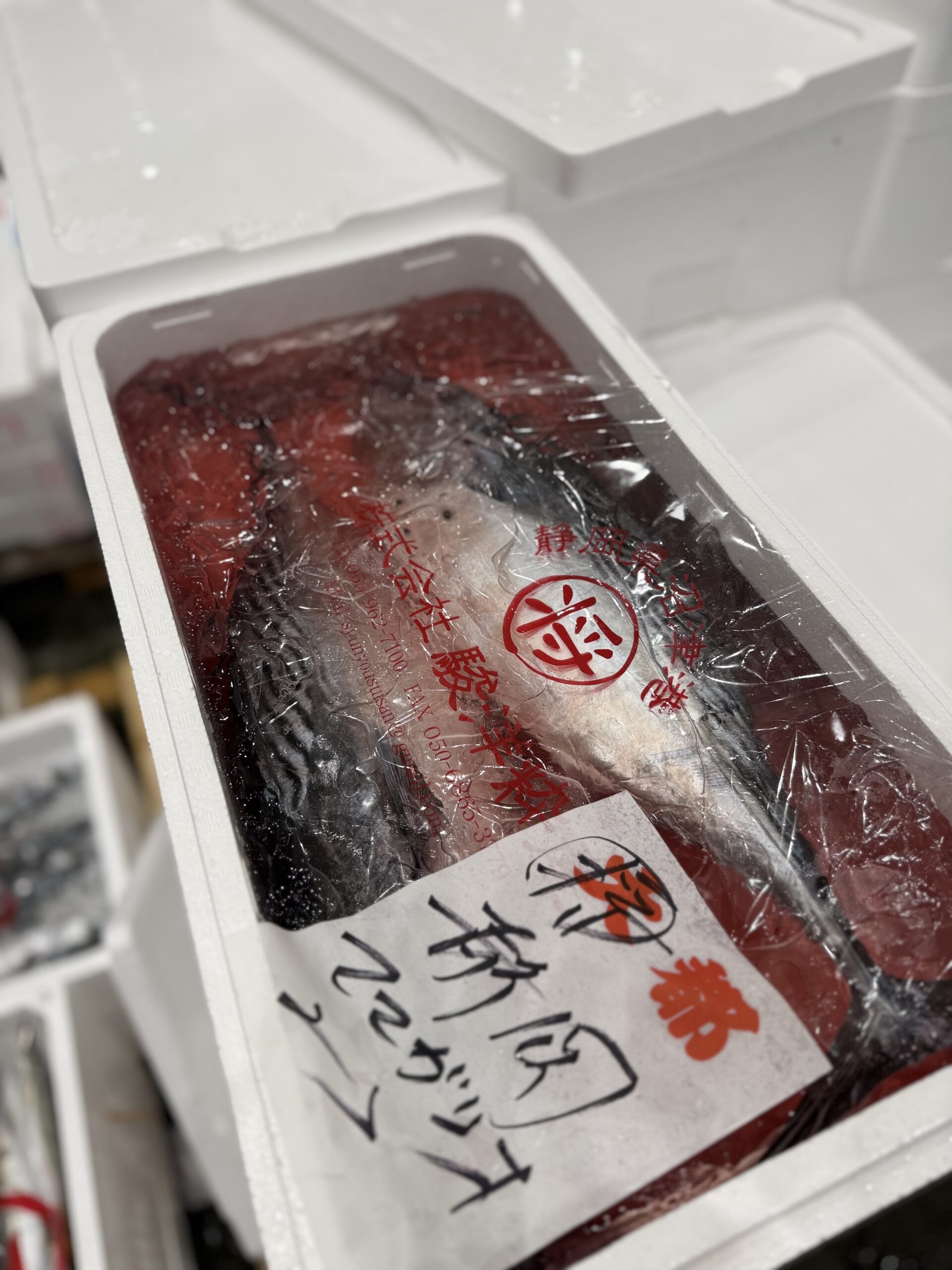 Katsuo