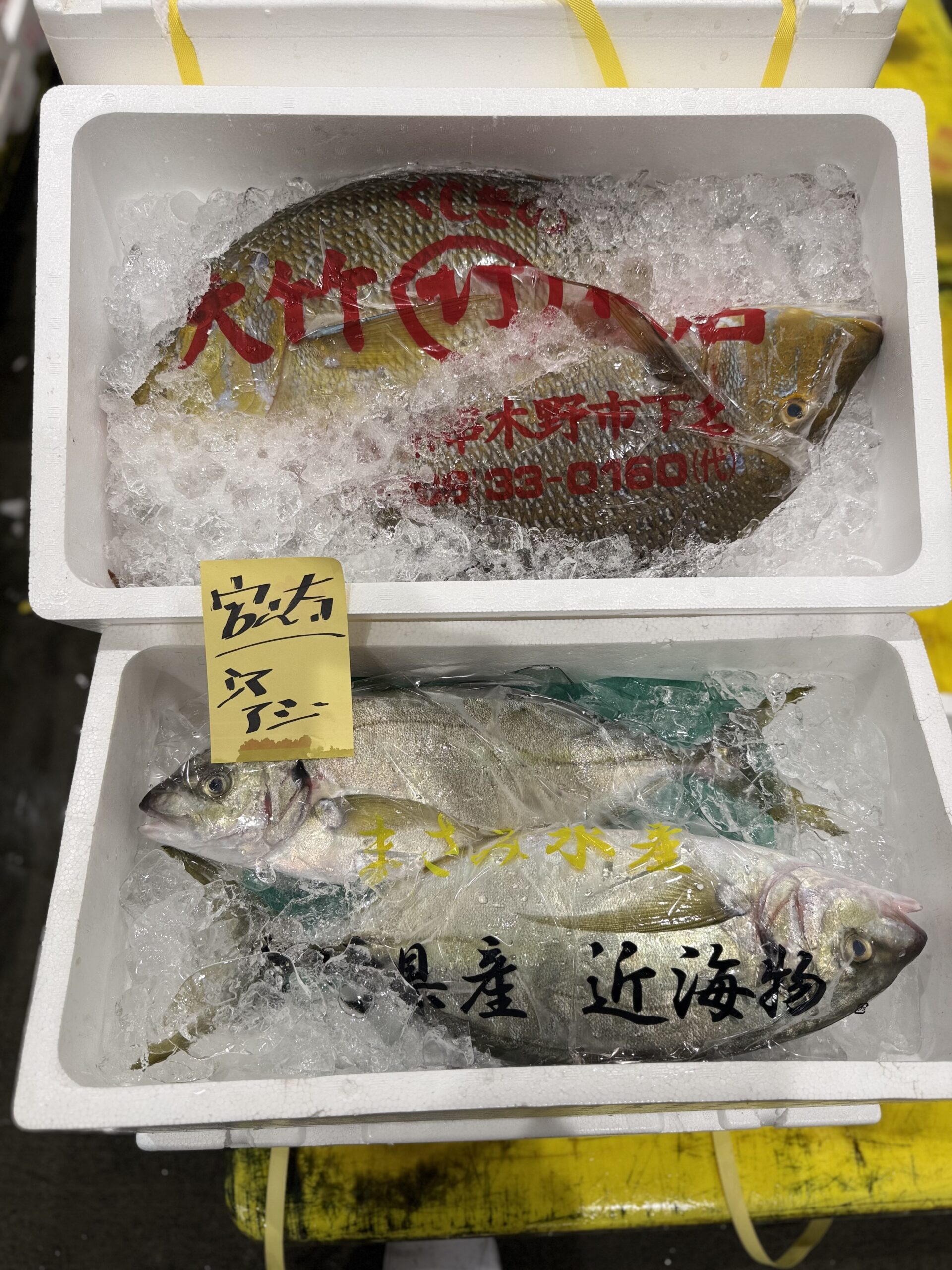 Hamafuefuki/Shimaaji