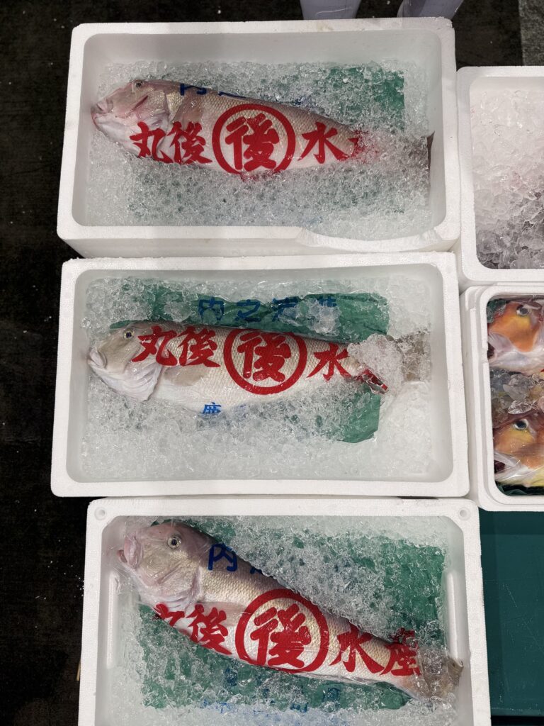 Shiro Amadai Shirakawa