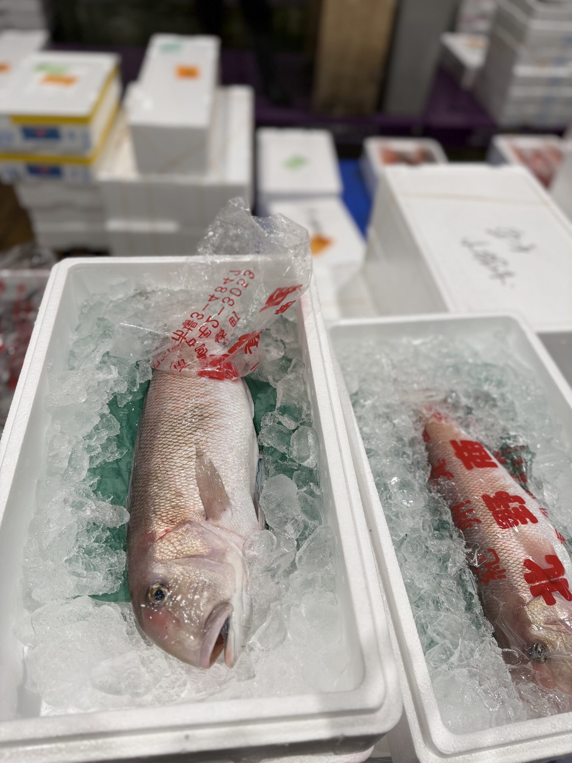 ShiroAmadai/Shirakwa