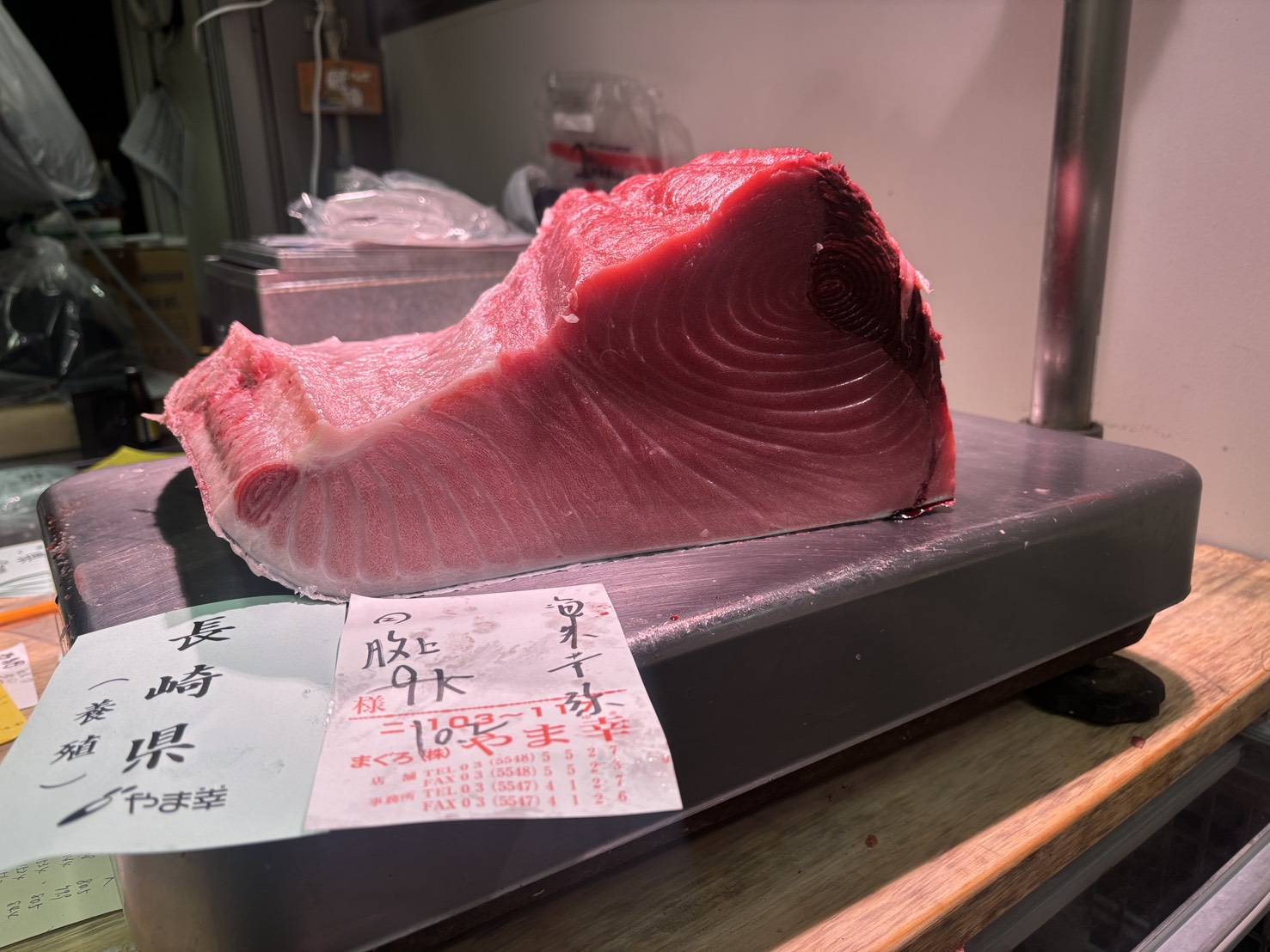 Farmed Hon-Maguro Belly